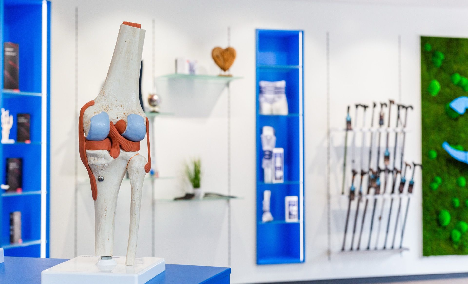 Kniebandage und Orthesenversorgung